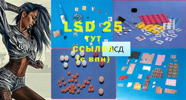 PSILOCYBIN Карпинск