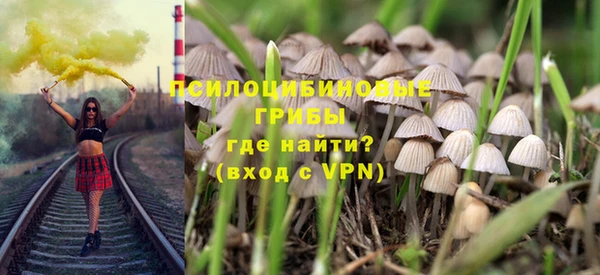 PSILOCYBIN Карпинск